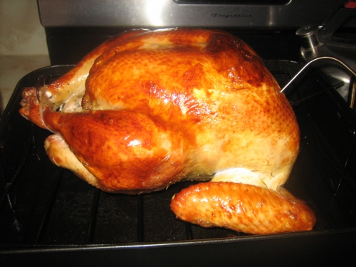 a image of a turkey. Learning how to cook a turkey is easy! The easiest way to prepare a turkey 